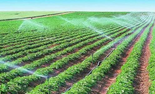 黑屌插入的快感农田高 效节水灌溉